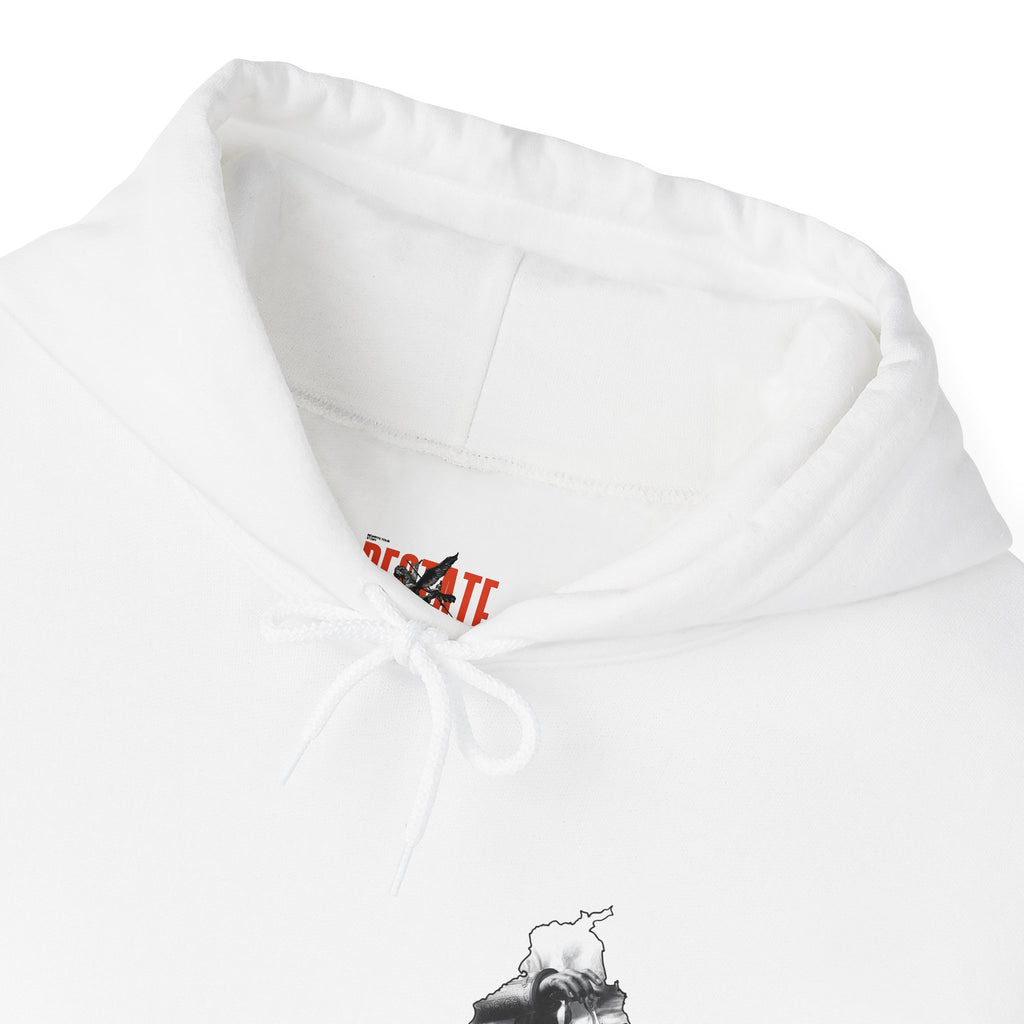 Sikh Warrior Hoodie - HARI SINGH NALWA Unisex Sweatshirt